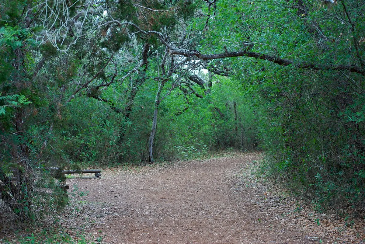 10 Shaded Nature Walks Near Tibaes Monastery in Braga