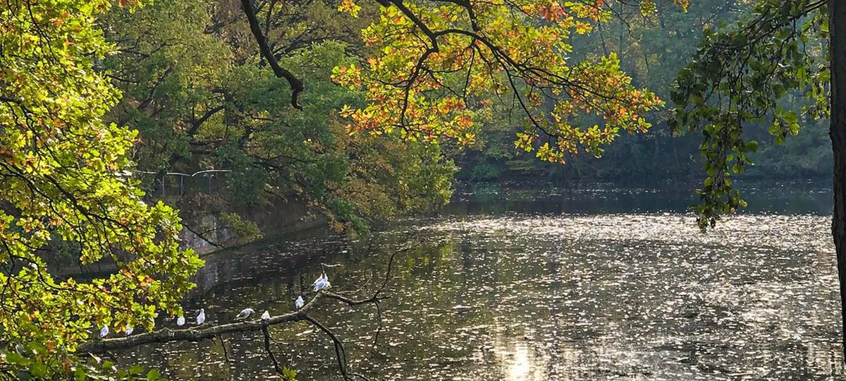 10 Best Family Friendly Strolls in Carvoeiro Village