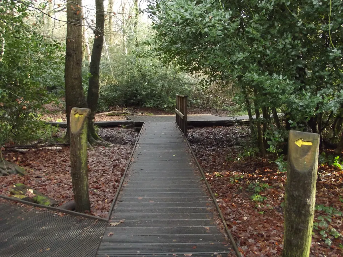 Easy Nature Trails in Marechal Carmona Park: 10 Pick