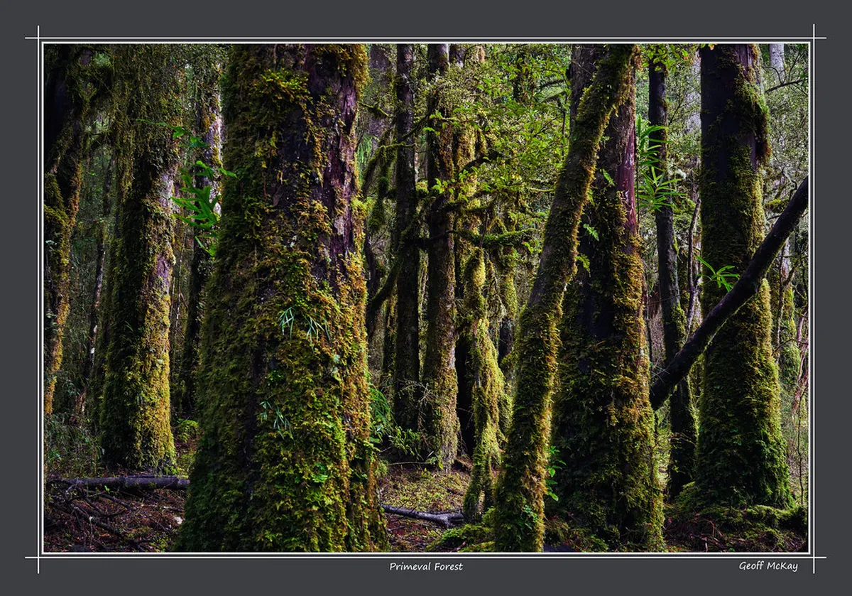 How to Access the Boardwalks at Foz do Lizandro: Guide