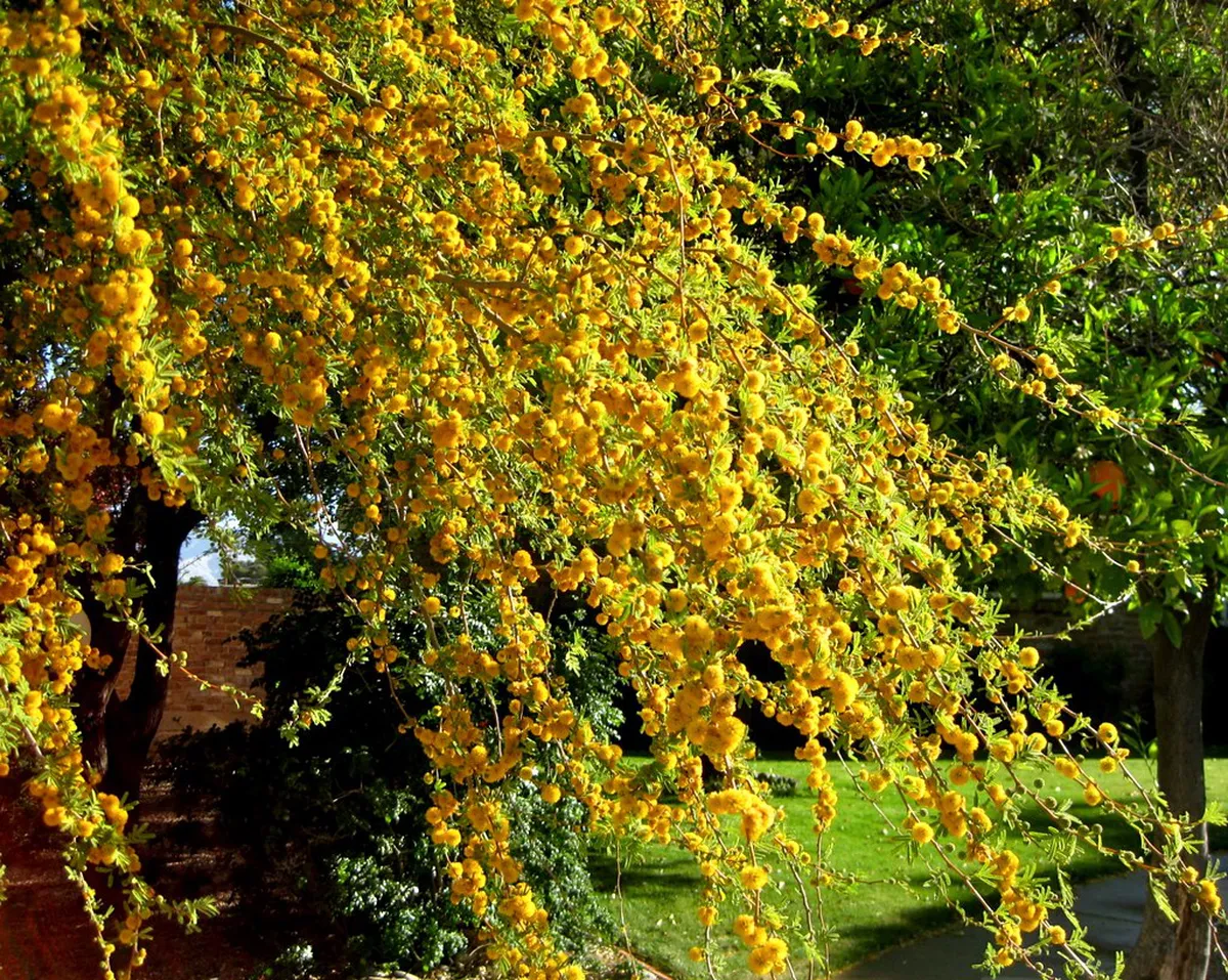 Évora Budget Guide: Free Walks and Low Entry Fees