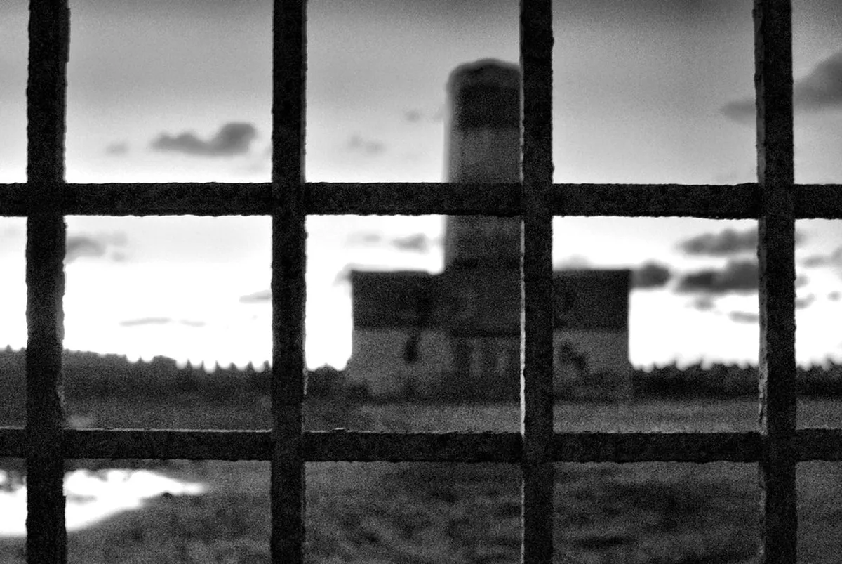 Free Walking Tours in Faro: 2026 Budget Travel Guide