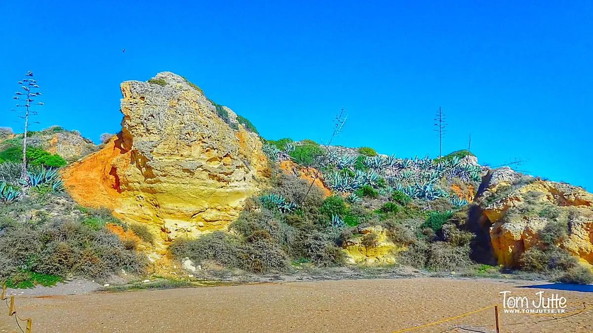 How to Walk Faro Old Town: A Complete Guide