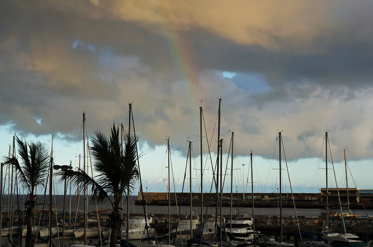 Funchal Harbour and Marina Walk: Top 10 Scenic Stops
