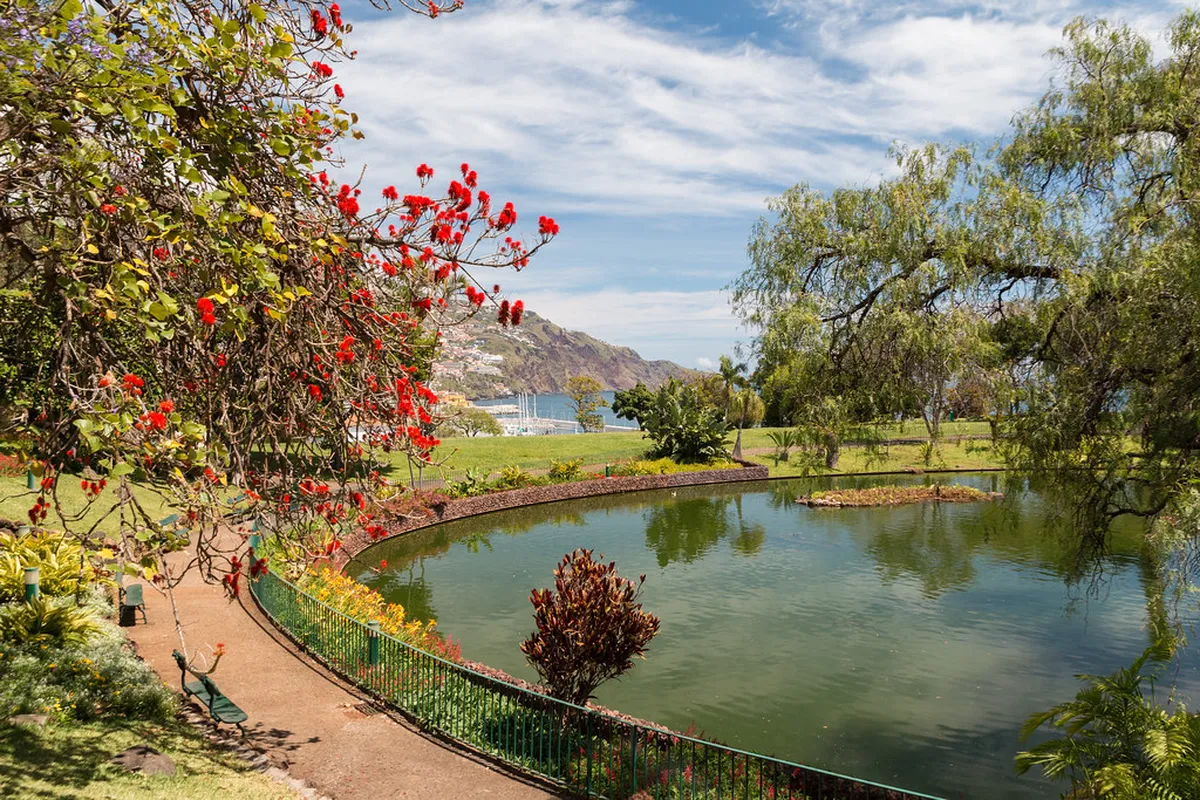1-Day Funchal Public Garden Walking Trails Guide