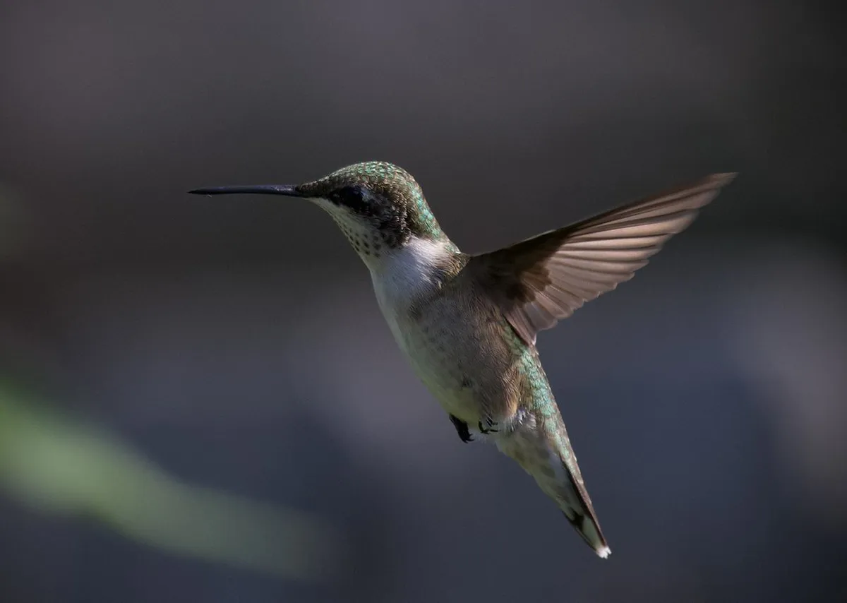 Best Time for Walking in Guimaraes parks: A Seasonal Guide