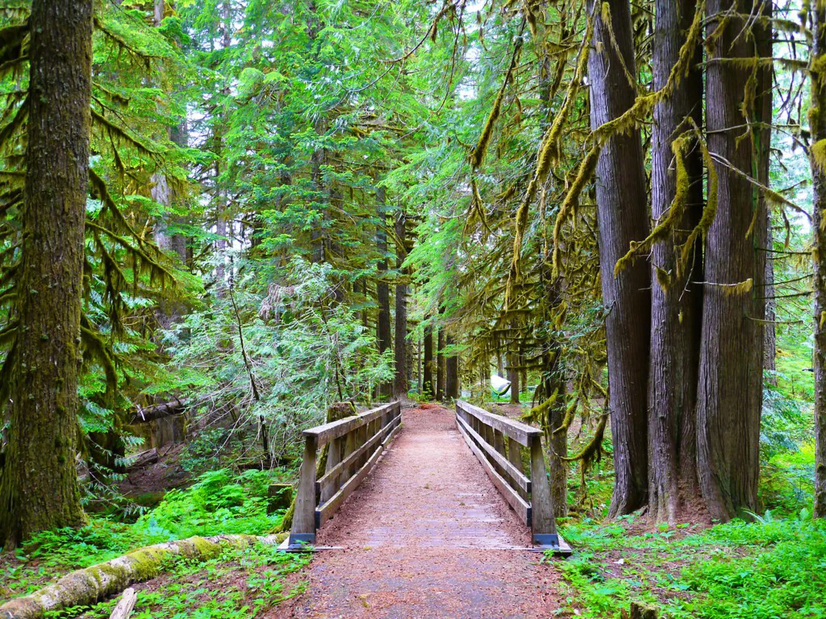 Accessible Paths in Eduardo VII Park: Mobility Guide