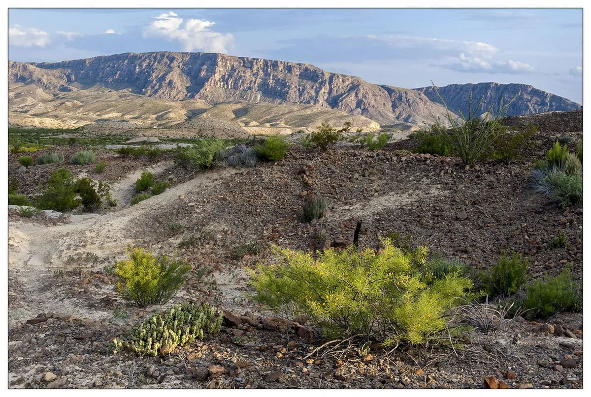 10 Easy Trails in Monsanto Forest Park, Lisbon