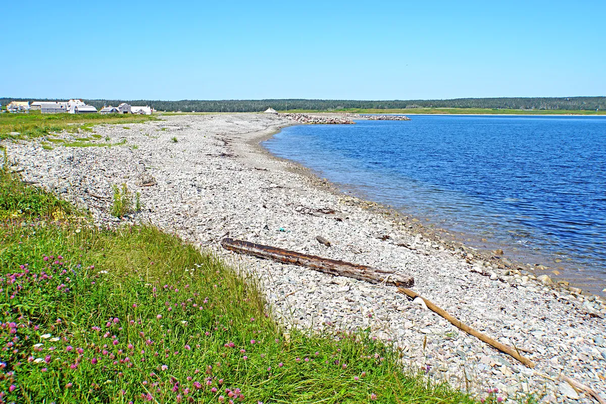 Free Self Guided Walks in Lisbon: 2026 Budget Guide