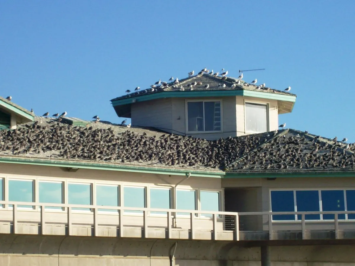 10 Top Easy Coastal Paths in Nazare Town - 2026 Guide