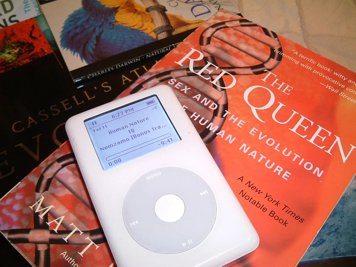 Óbidos Walking Guide: Best Easy Trails & Scenic Routes for 2026