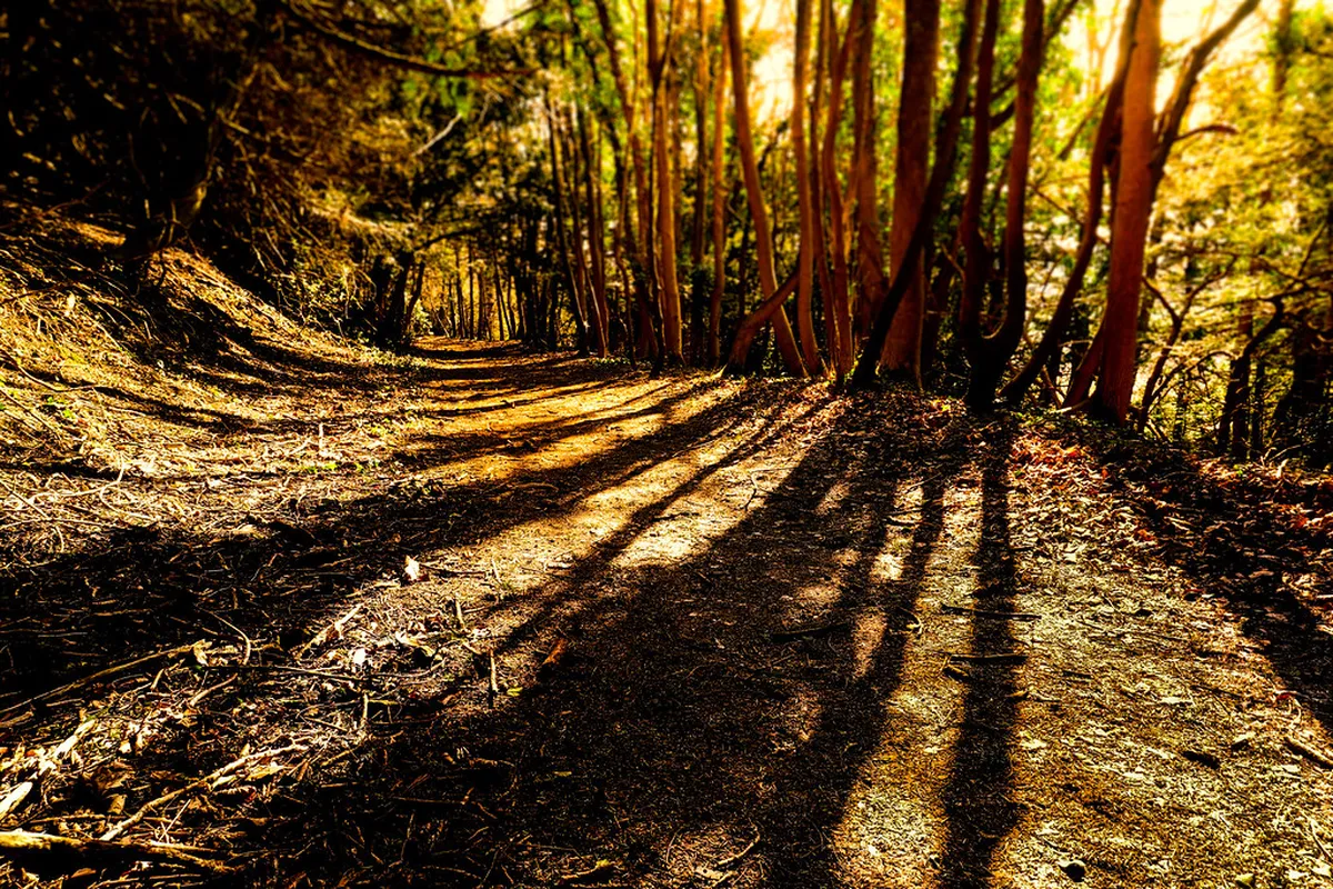 10 Easy Paths to Papoa Rock Formation | Peniche Guide