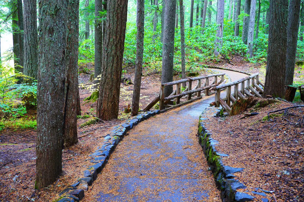 Wheelchair Accessible Paths in Peso da Regua: 2026 Guide