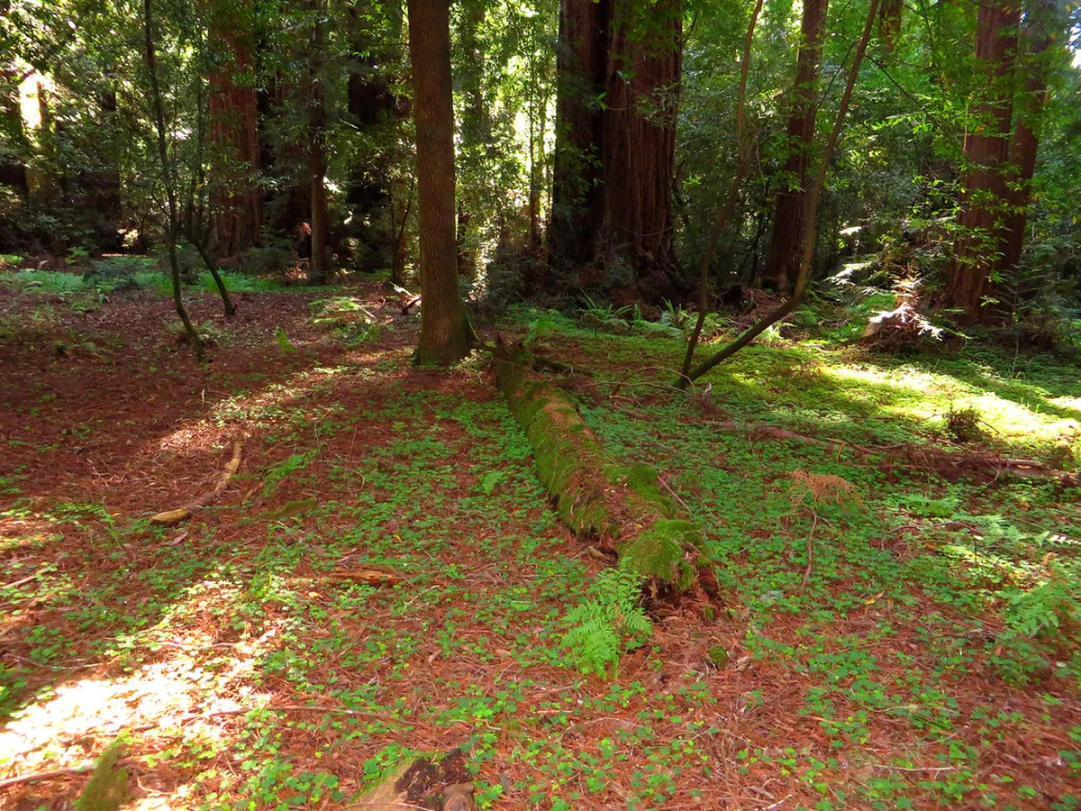 3-Day Guide: Accessible Walking Trails in Porto