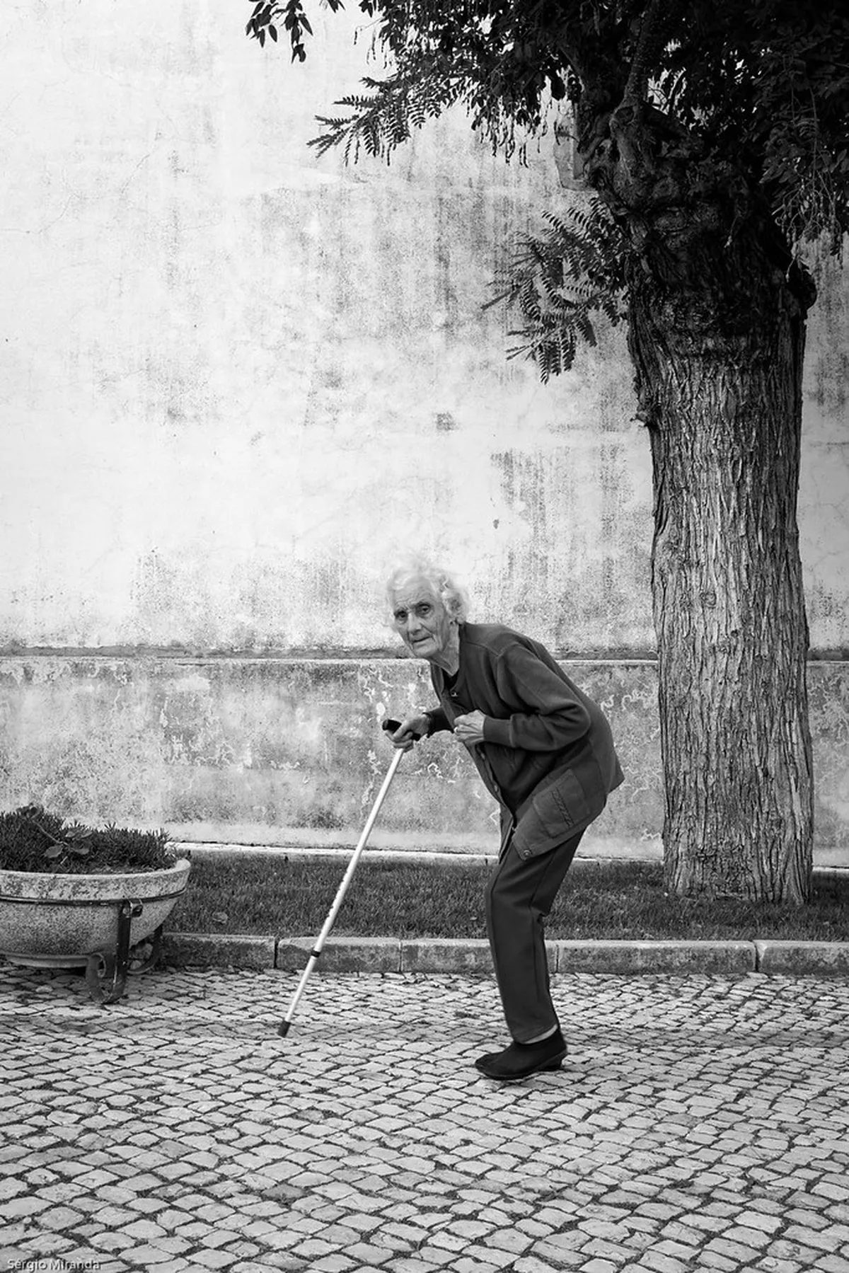 2026 Guide to Easy Walking in Portugal: Most Scenic Flat Routes