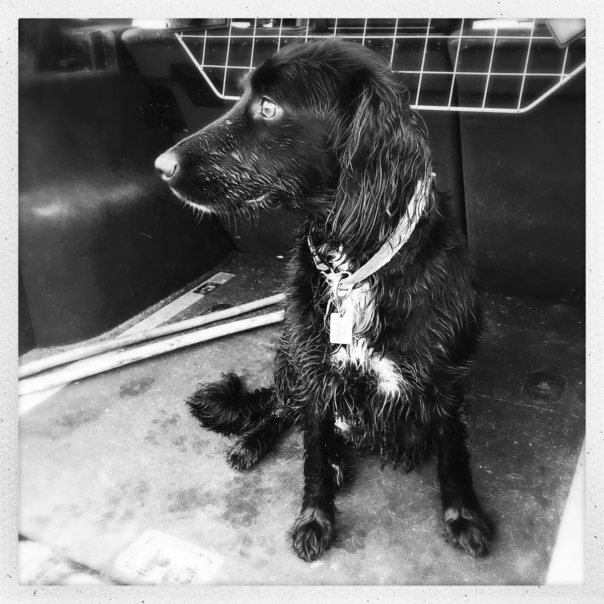 Free Strolls in Porto City Center: 2026 Budget Guide