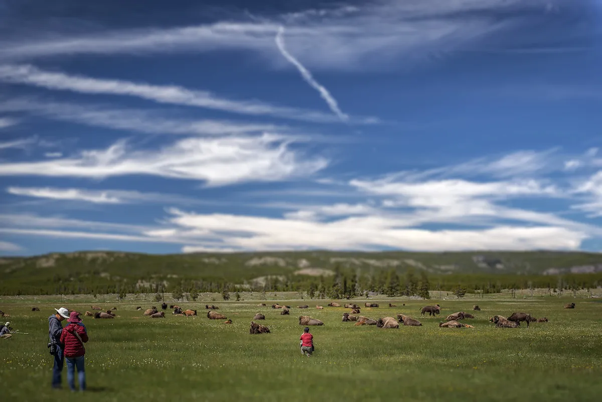 10 Scenic Flat Paths in Porto for Easy Exploring