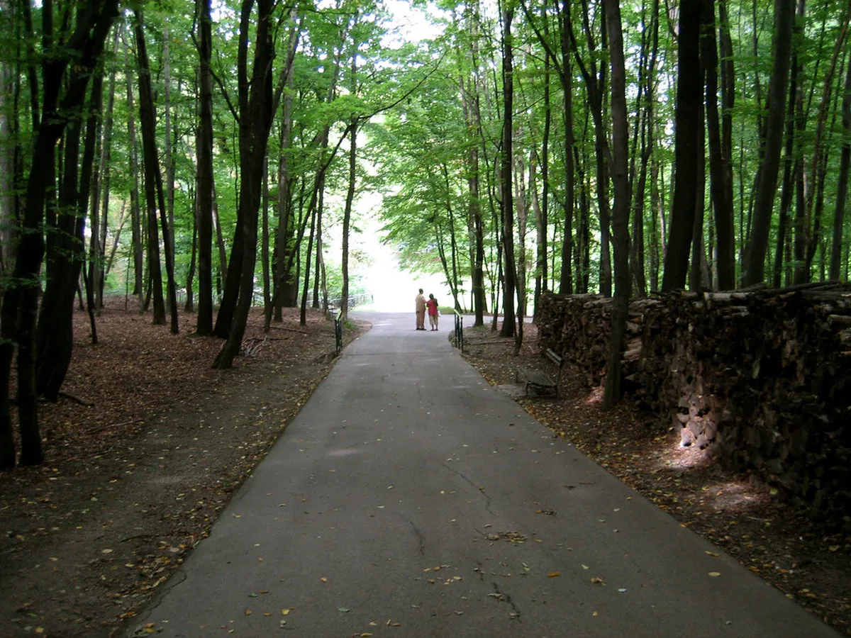 10 Best Stroller Friendly Paths in Sagres, Portugal