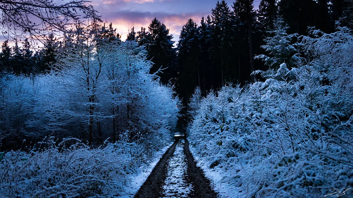 10 Best Nature Trails Near Silves: A Hiker's 2026 Guide