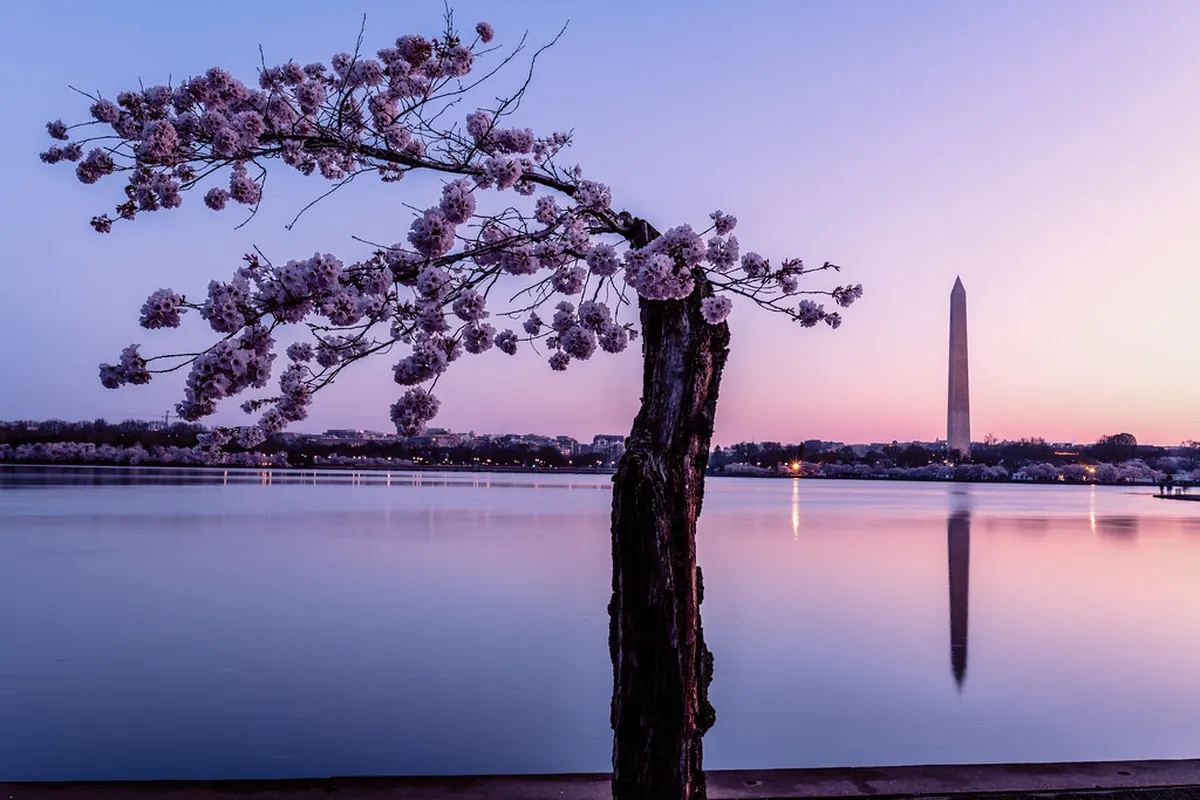 Free Self Guided Silves Walk: Budget Guide 2026