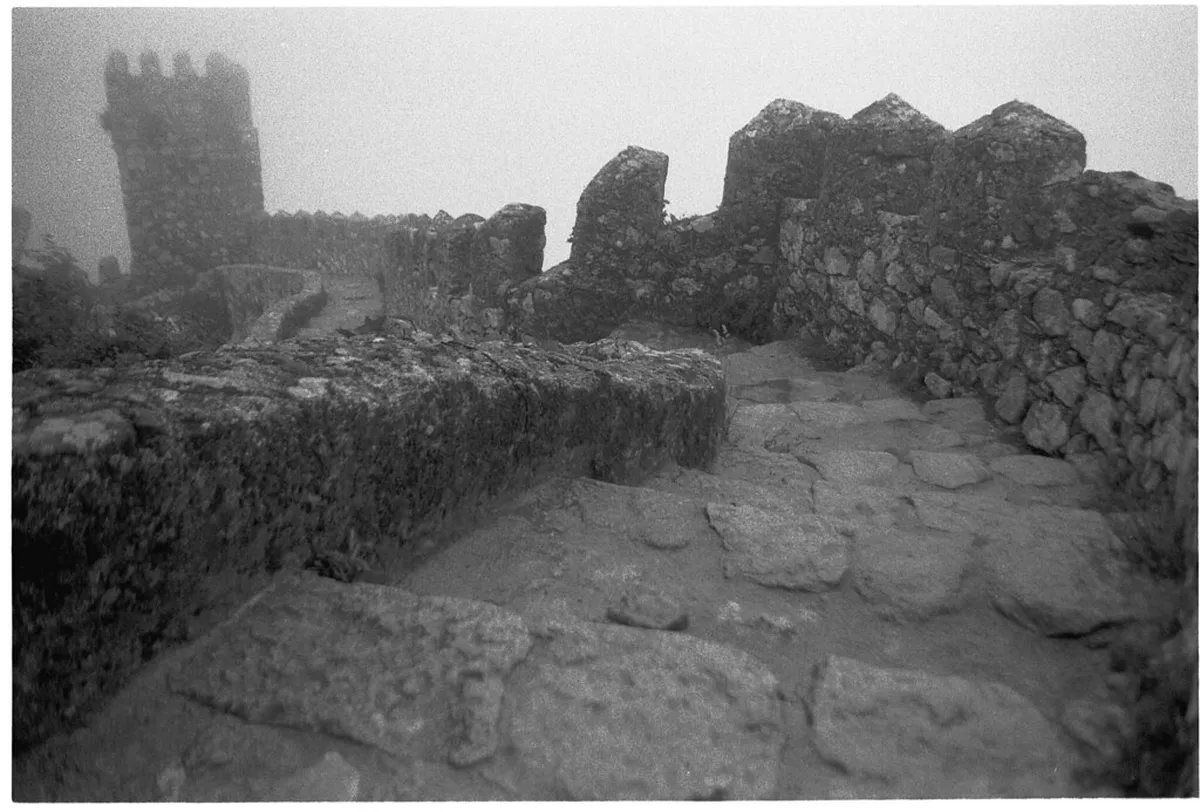 Best Time for Sintra Morning Walks: A Seasonal Guide