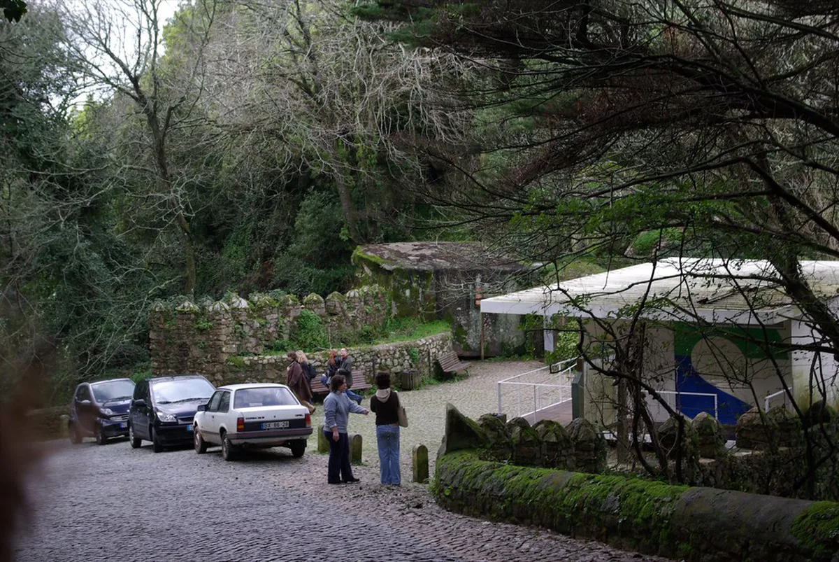 9 Best Short Walks in Sintra Forest: Easy Local Trails