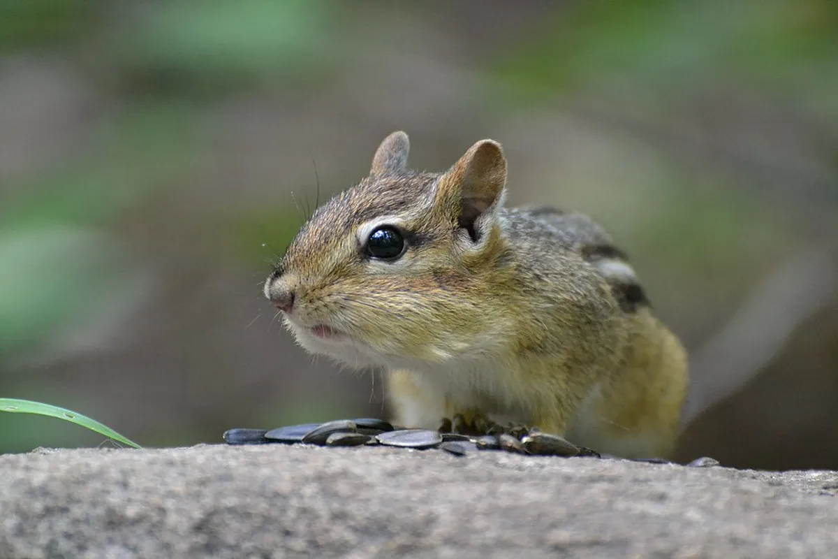How to Visit Pegoes Aqueduct: A Complete 2026 Guide
