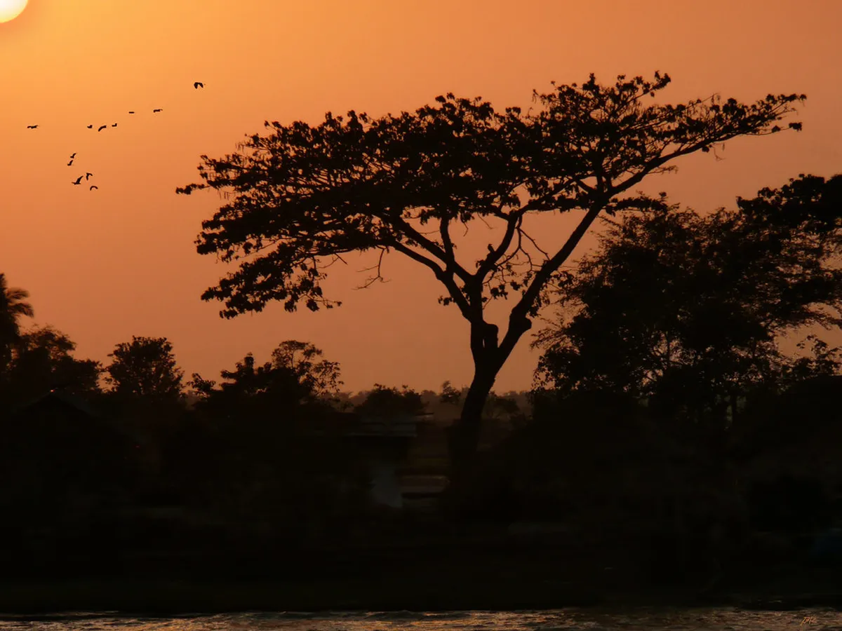 10 Highlights of the Riverside Eco Path in Viana
