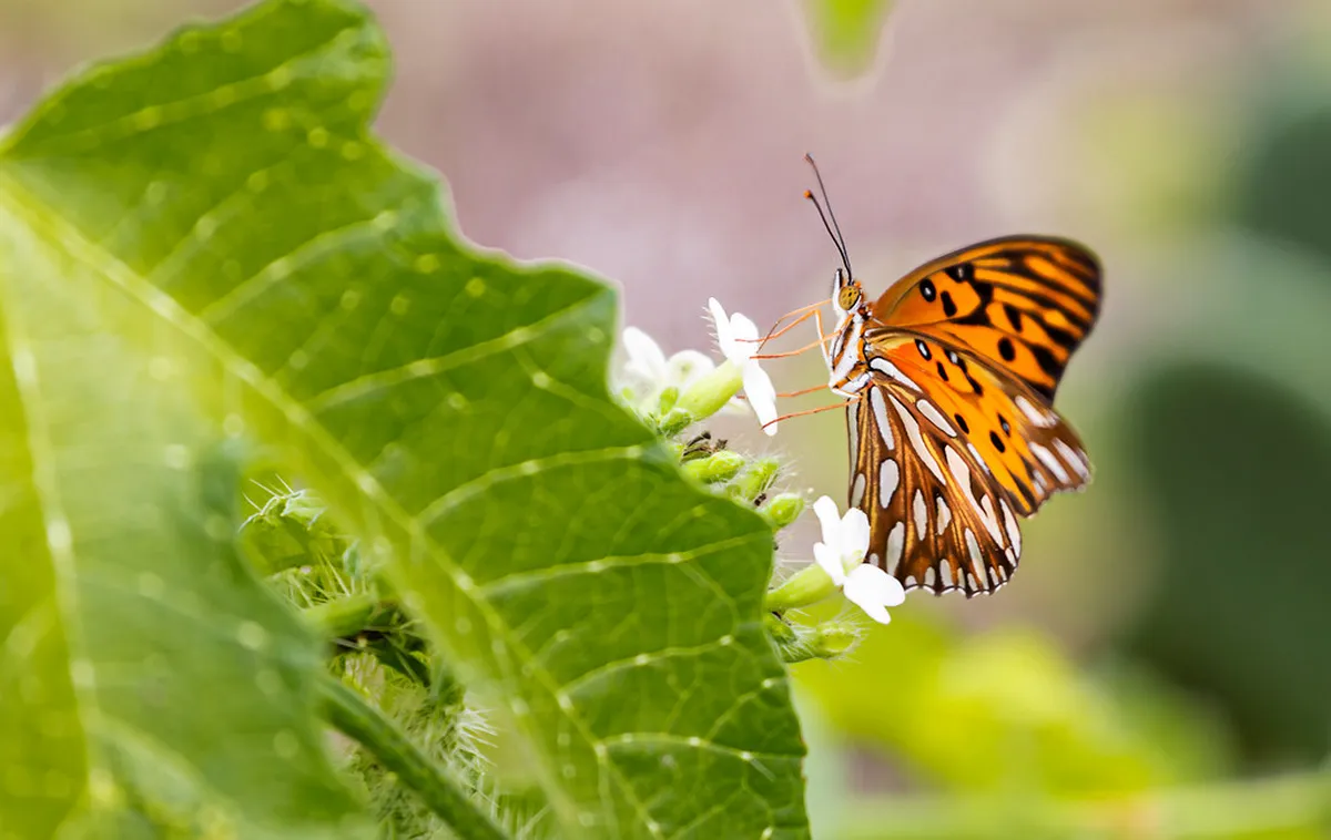 How to Explore Milfontes Riverside Boardwalks: 2026 Guide