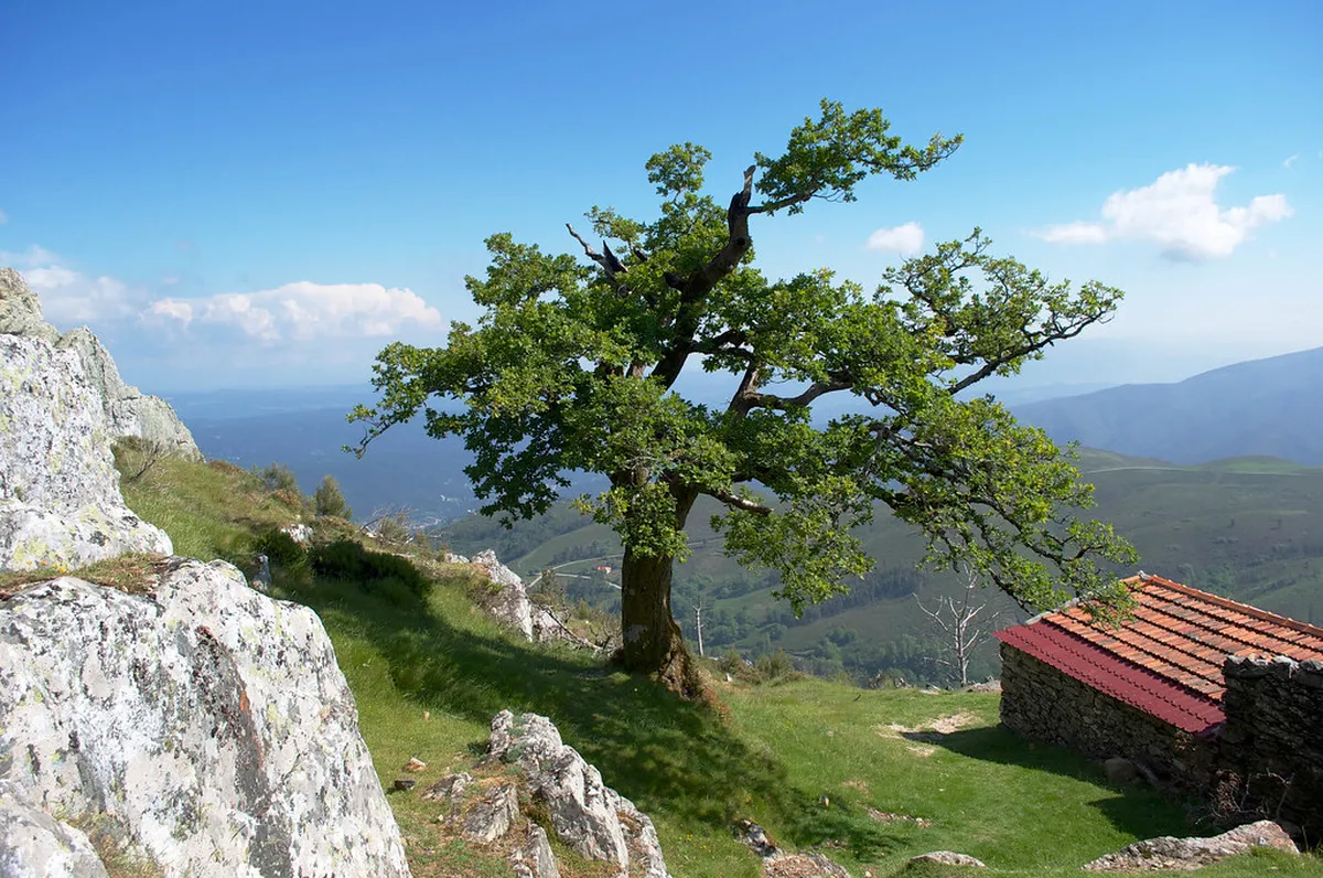 Best Viseu Street Art Photo Spots: Top 10 Locations